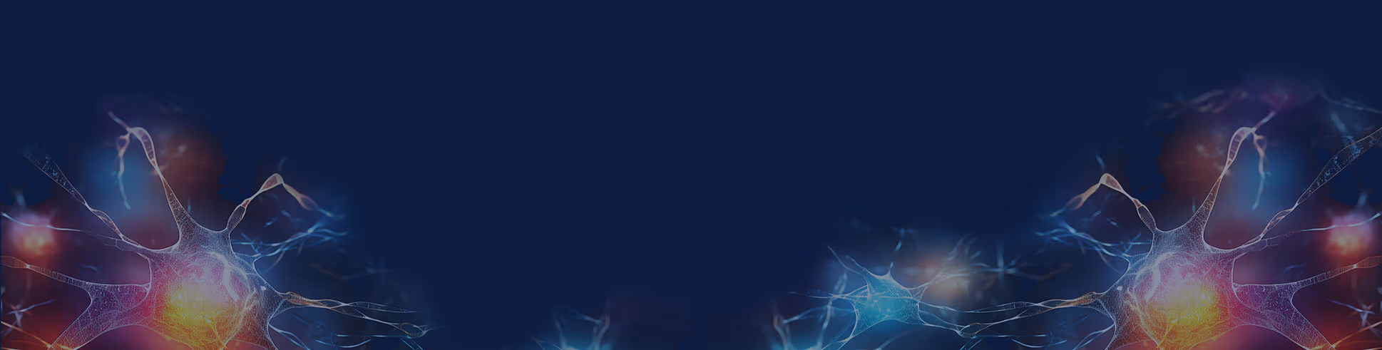 Neural network background